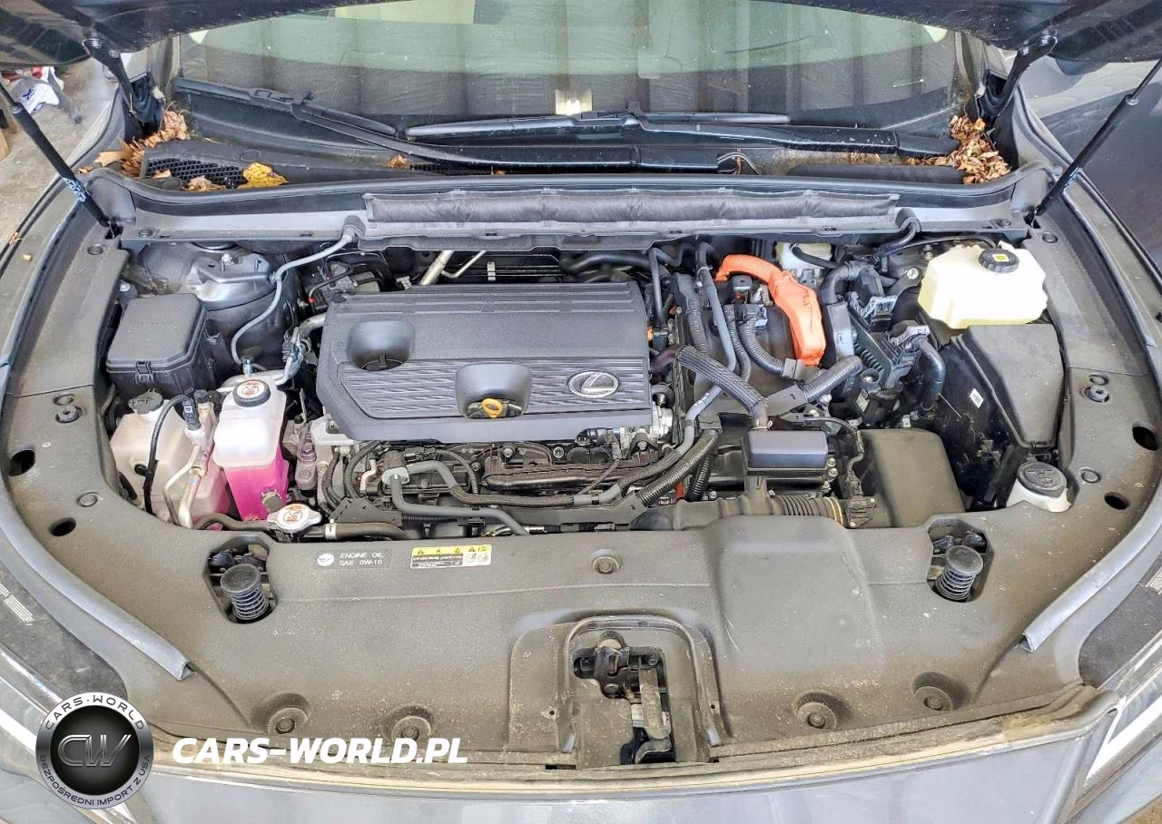 2025 Lexus Rx 350H Premium+ VIN:2T2BBMCAXSC071287 - 12