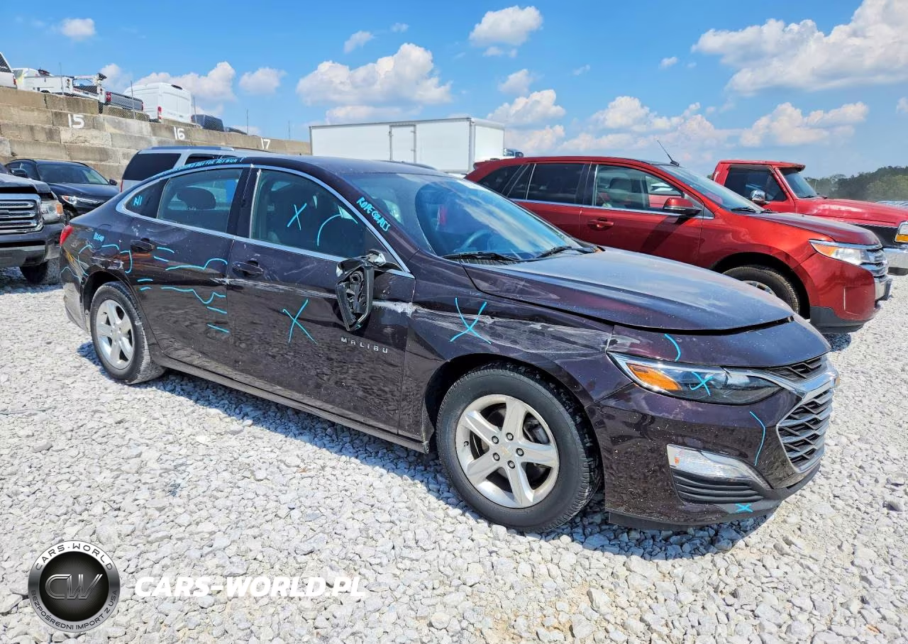 2020 Chevrolet Malibu Ls VIN:1G1ZB5ST9LF157395 - 4
