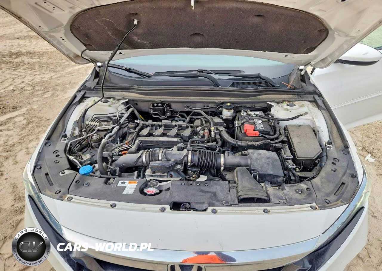 2020 Honda Accord Lx VIN:1HGCV1F1XLA102457 - 11