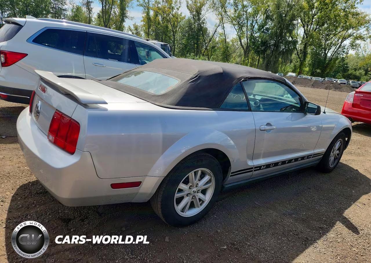 2005 Ford Mustang VIN:1ZVFT84N755192563 - 3