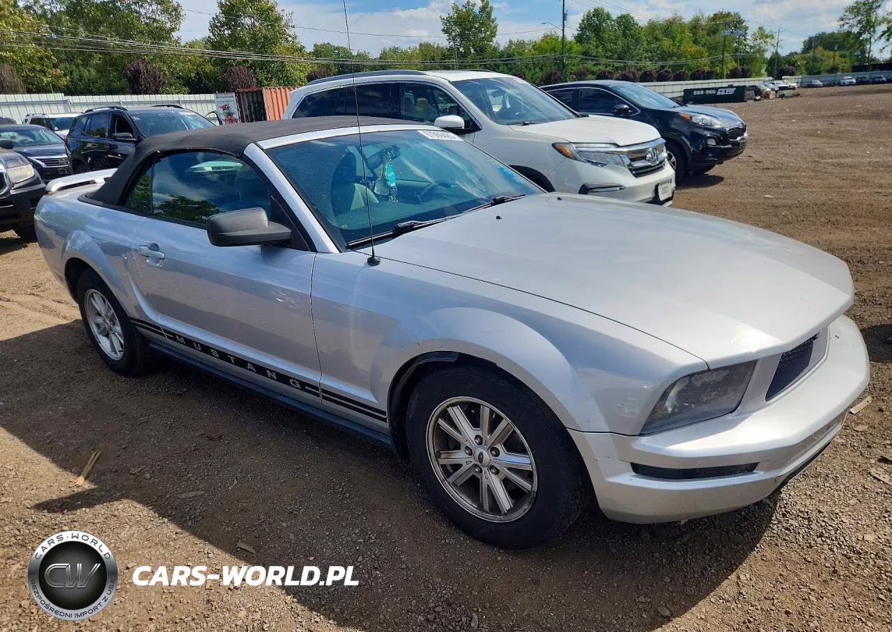2005 Ford Mustang VIN:1ZVFT84N755192563 - 4