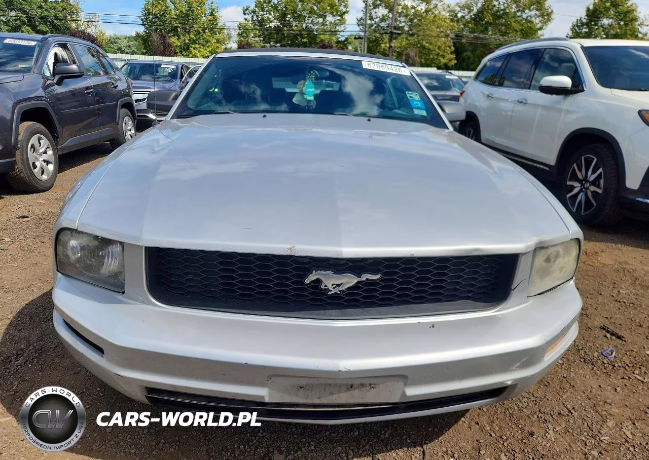 2005 Ford Mustang VIN:1ZVFT84N755192563 - 5