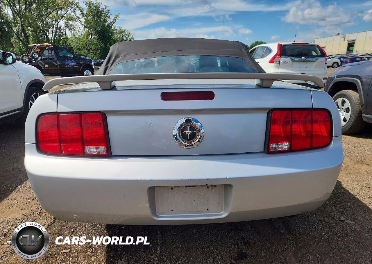 2005 Ford Mustang VIN:1ZVFT84N755192563 - 6