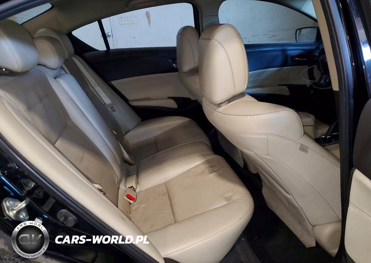 2015 Acura Ilx 20 Premium VIN:19VDE1F53FE005665 - 10