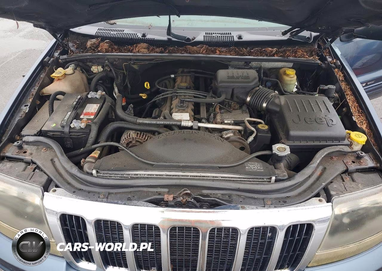 2002 Jeep Grand Cherokee Laredo VIN:1J4GW48S32C254646 - 12