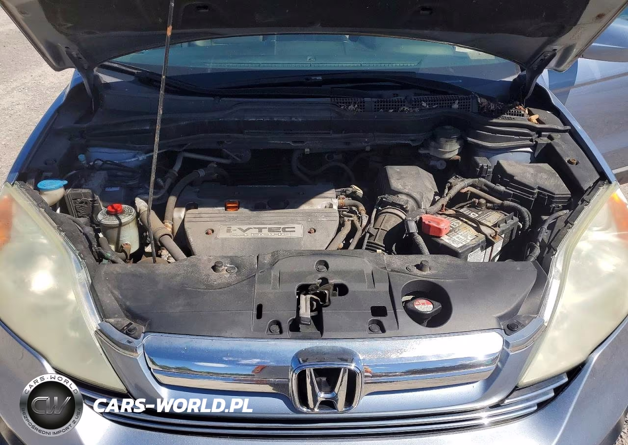 2009 Honda Cr-V Exl VIN:5J6RE48789L065492 - 12