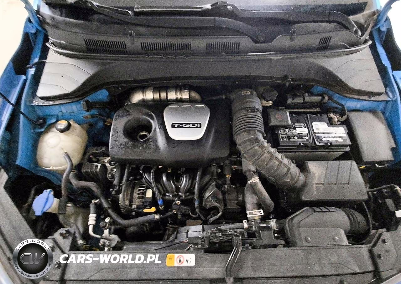 2019 Hyundai Kona Limited VIN:KM8K33A58KU250086 - 12