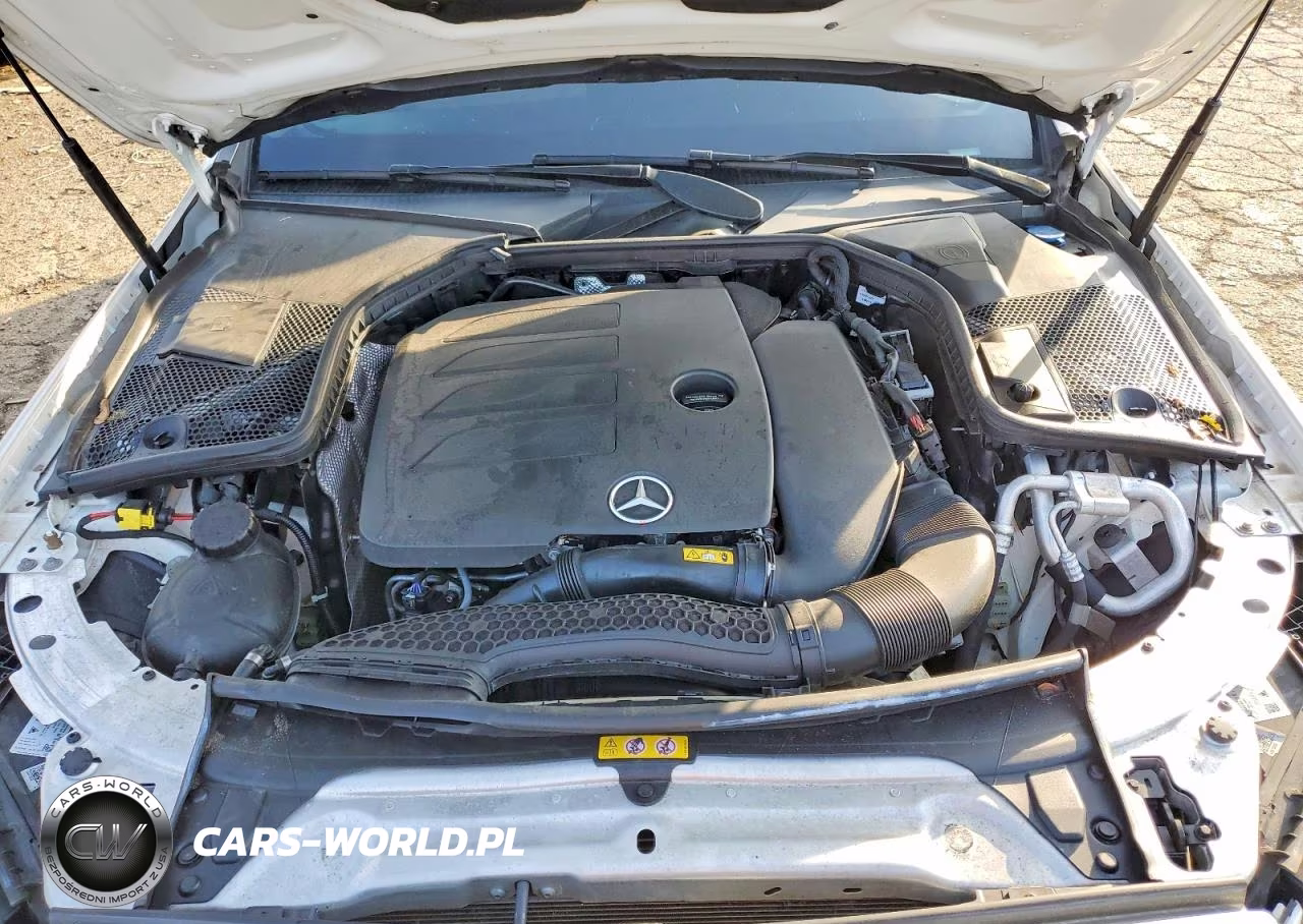 2019 Mercedes-Benz C 300 4Matic VIN:55SWF8EB6KU305023 - 11
