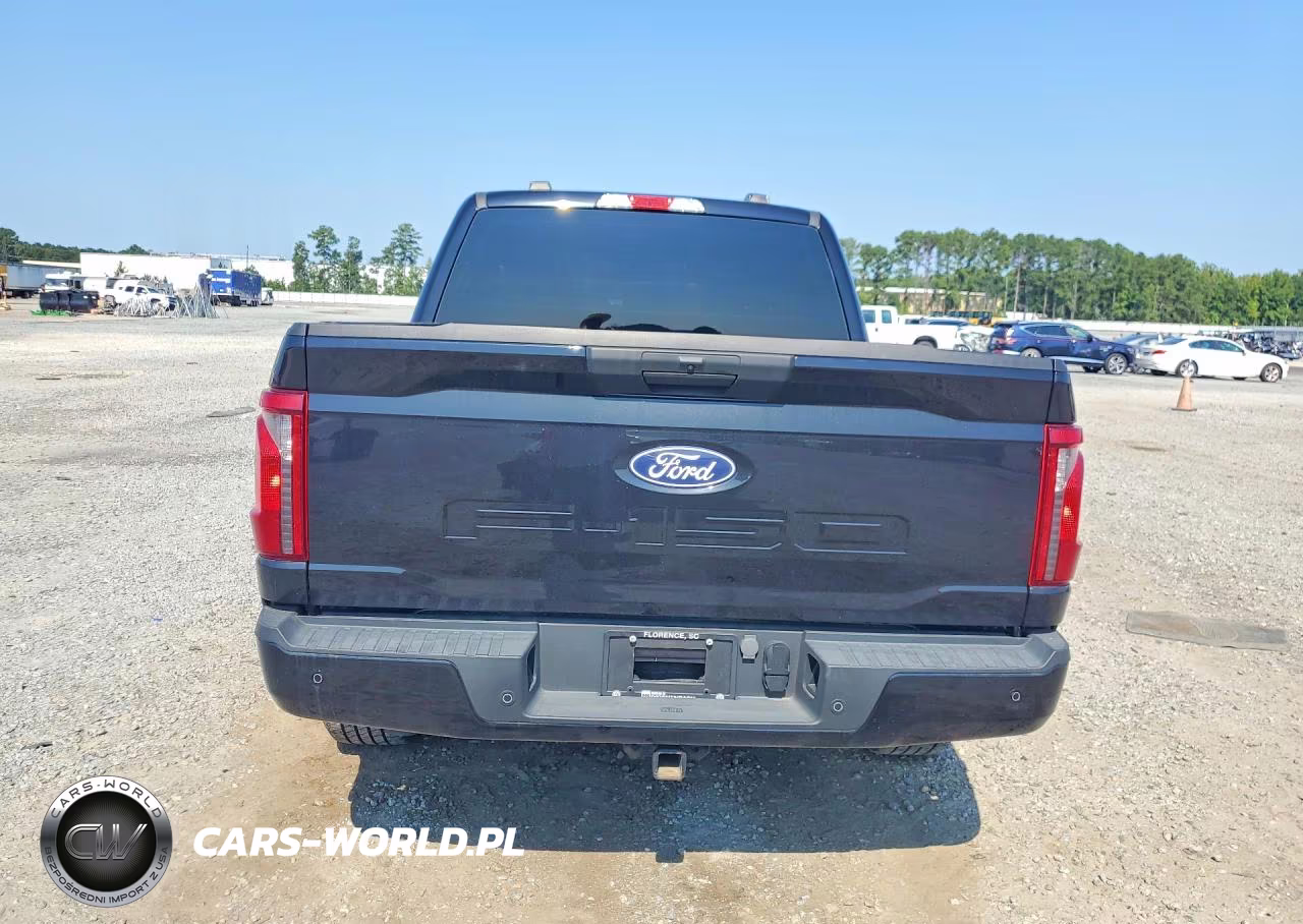 2025 Ford F150 Stx VIN:1FTEW2KP7SKD10034 - 6