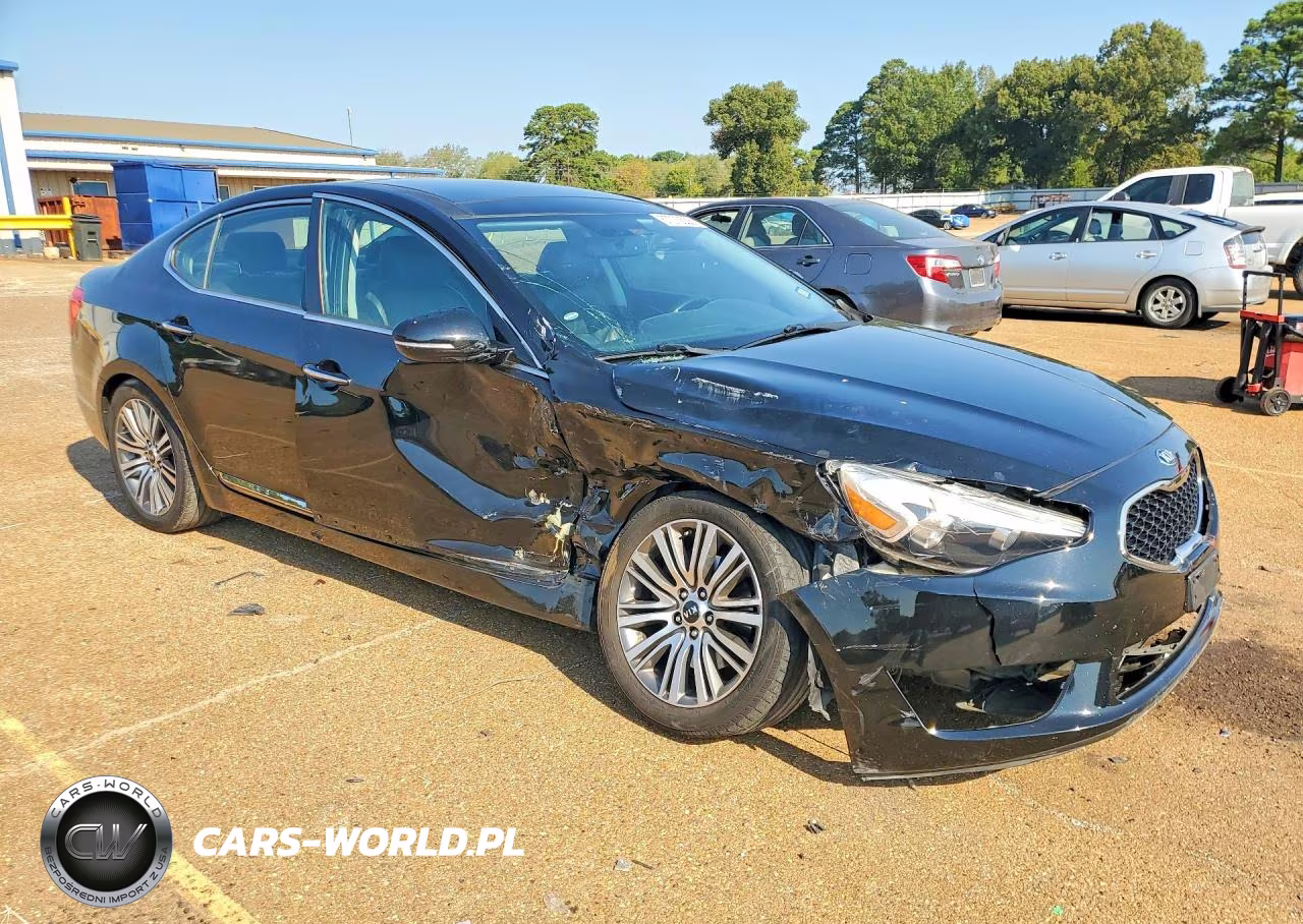 2016 Kia Cadenza Luxury VIN:KNALN4D79G5221670 - 4