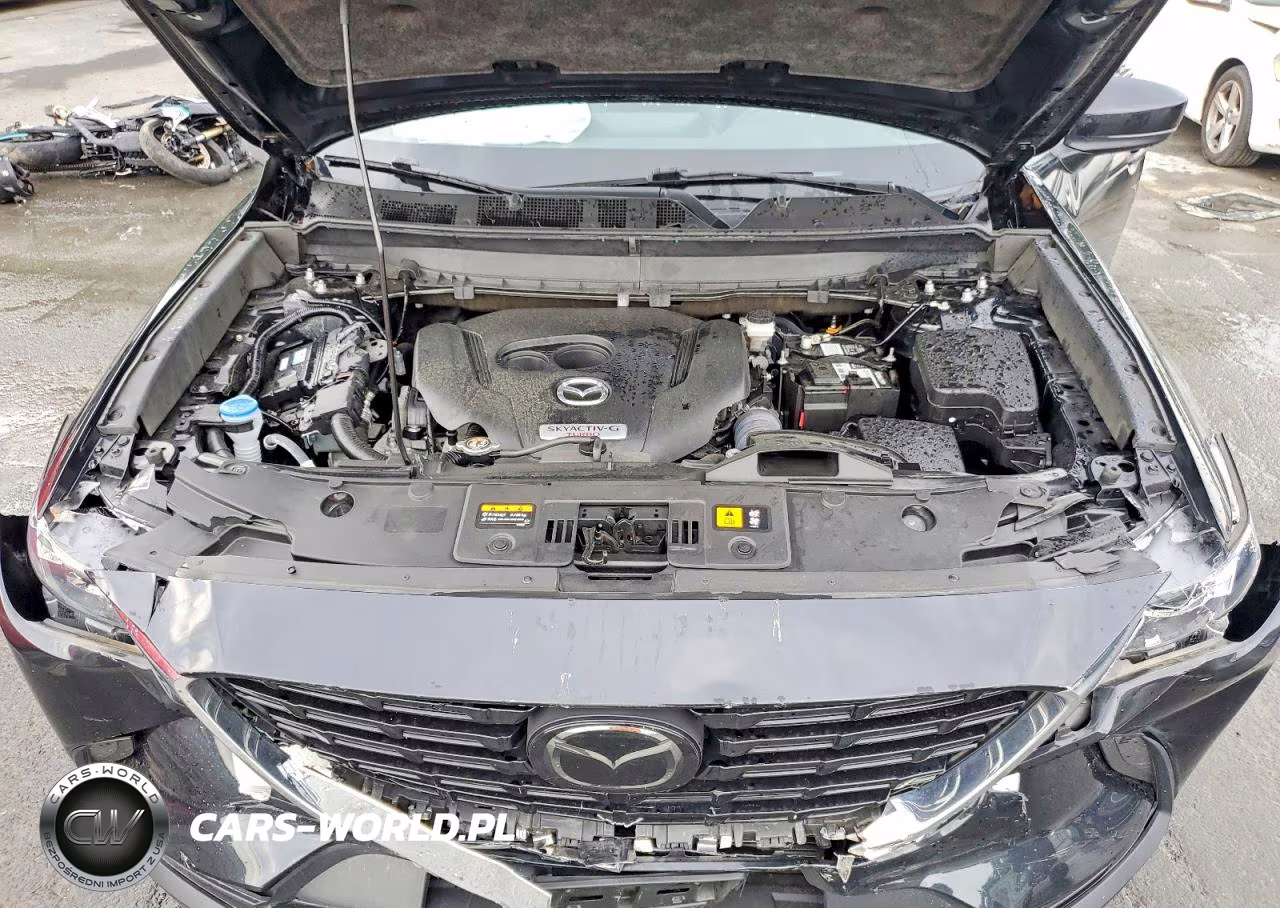 2023 Mazda Cx-9 Touring Plus VIN:JM3TCBAY9P0653626 - 11