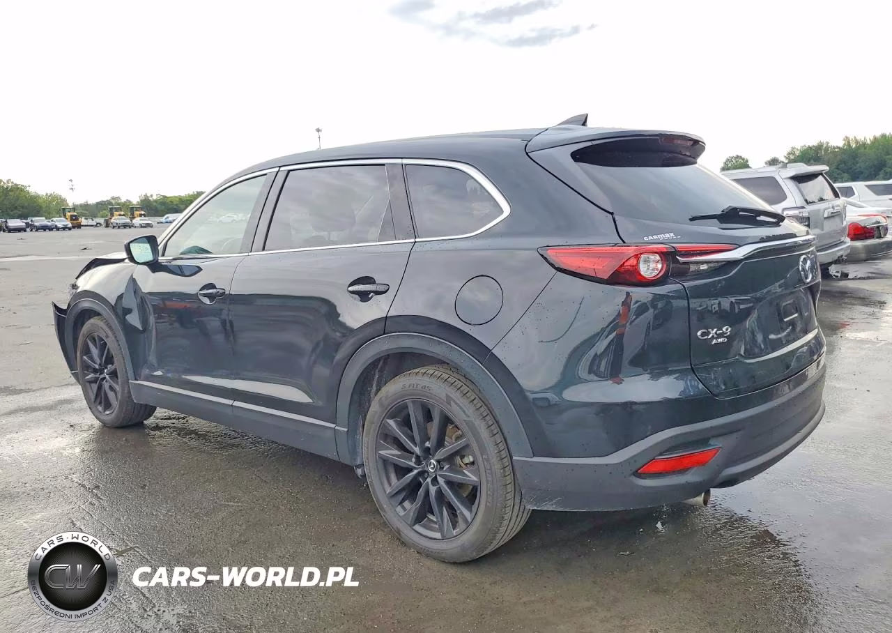 2023 Mazda Cx-9 Touring Plus VIN:JM3TCBAY9P0653626 - 2