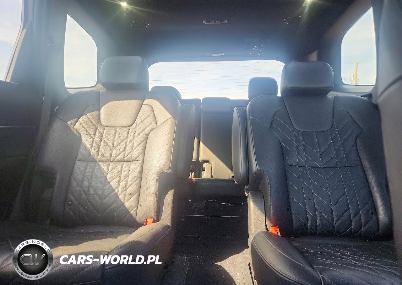 2024 Kia Telluride Sx X-Line VIN:5XYP5DGC2RG450778 - 10