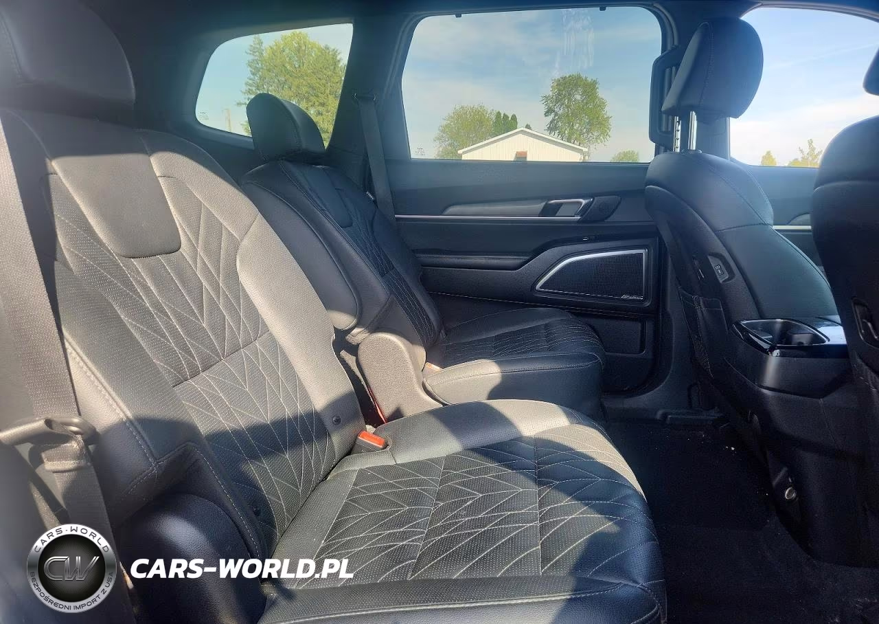 2024 Kia Telluride Sx X-Line VIN:5XYP5DGC2RG450778 - 11
