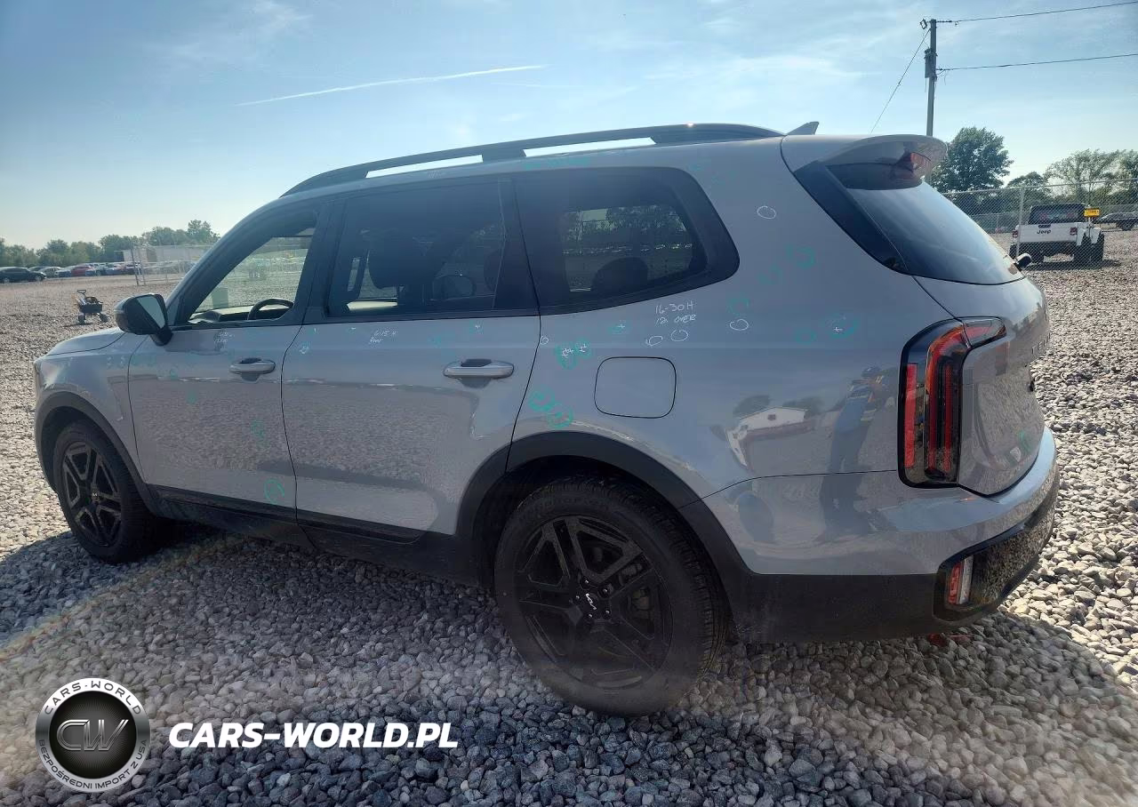 2024 Kia Telluride Sx X-Line VIN:5XYP5DGC2RG450778 - 2