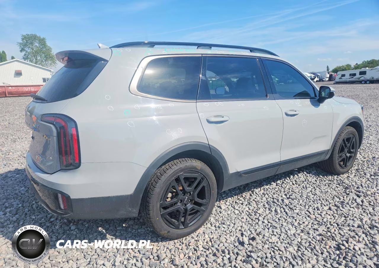 2024 Kia Telluride Sx X-Line VIN:5XYP5DGC2RG450778 - 3