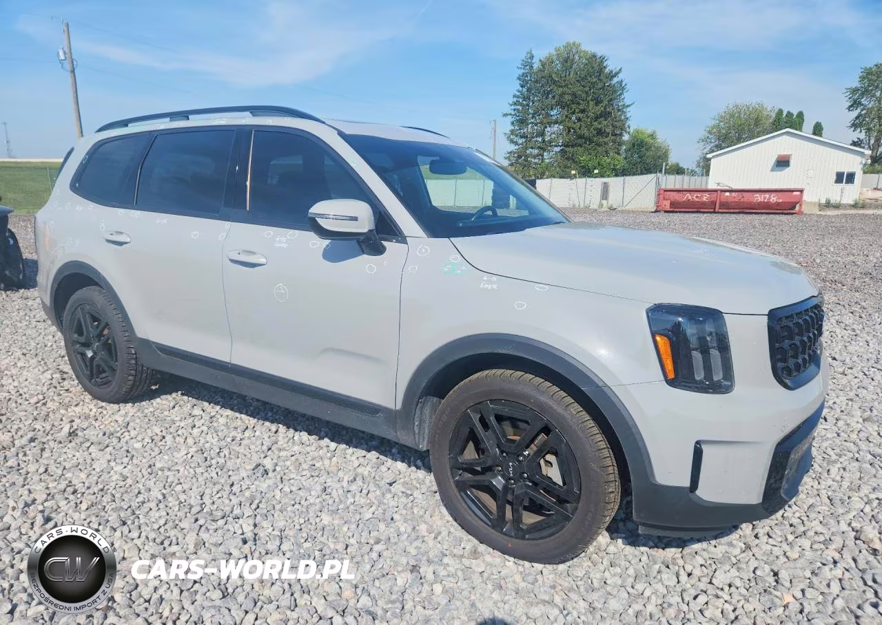 2024 Kia Telluride Sx X-Line VIN:5XYP5DGC2RG450778 - 4