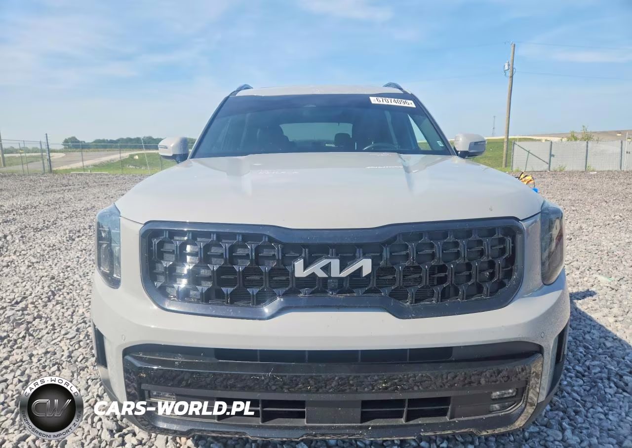 2024 Kia Telluride Sx X-Line VIN:5XYP5DGC2RG450778 - 5