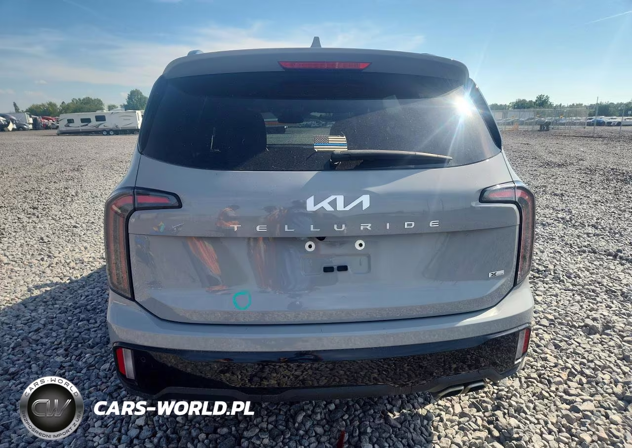 2024 Kia Telluride Sx X-Line VIN:5XYP5DGC2RG450778 - 6
