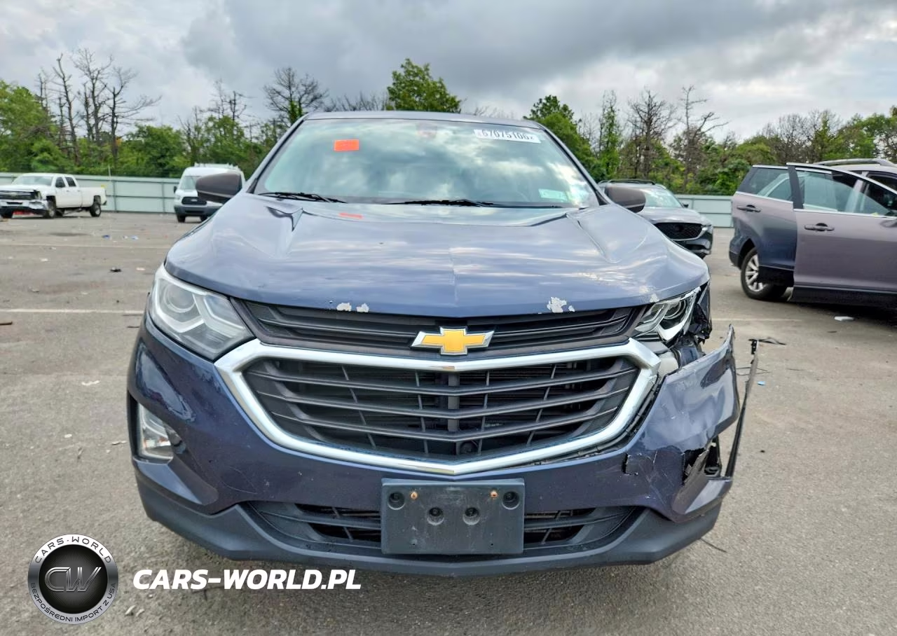 2019 Chevrolet Equinox Ls VIN:3GNAXSEV9KS504274 - 5