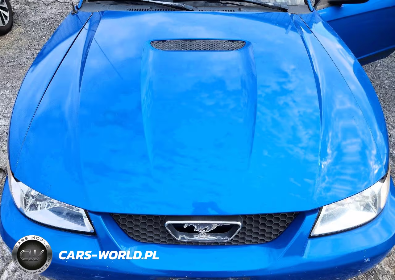 2000 Ford Mustang VIN:1FAFP4048YF191312 - 11