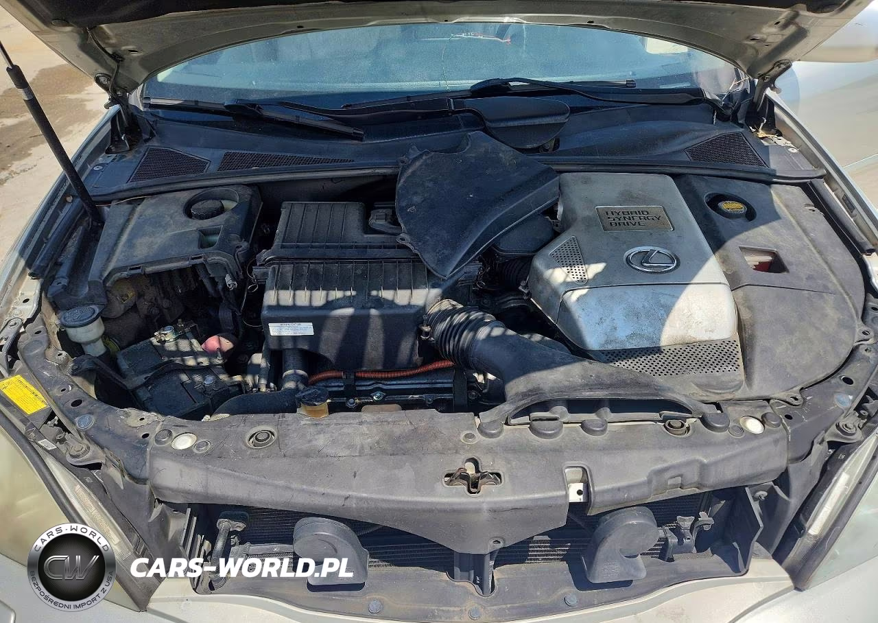 2006 Lexus Rx 400 VIN:JTJHW31U460031584 - 12