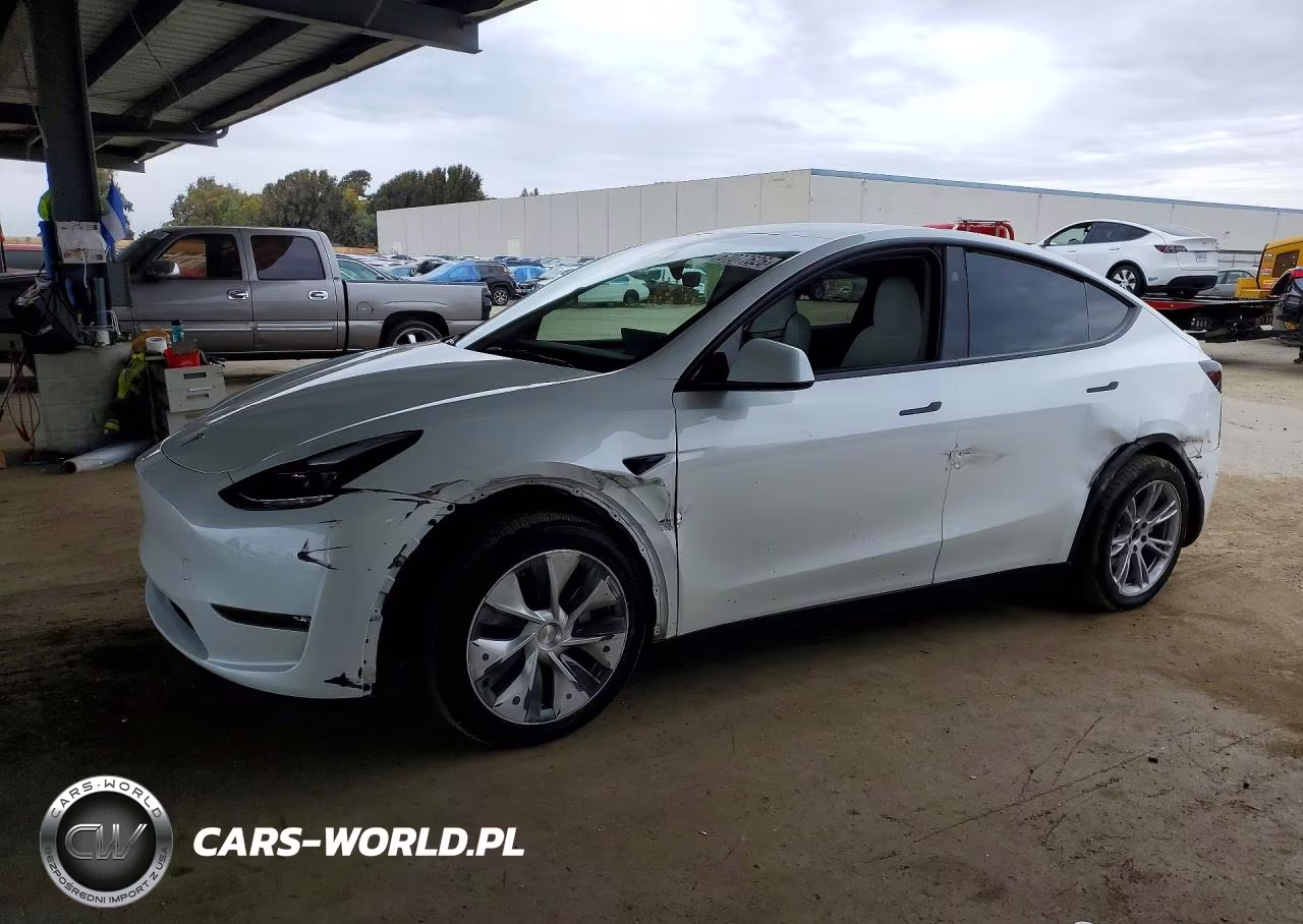 2023 Tesla Model Y VIN:7SAYGDEE3PF967484 - 1