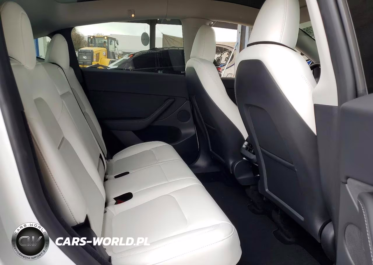 2023 Tesla Model Y VIN:7SAYGDEE3PF967484 - 10