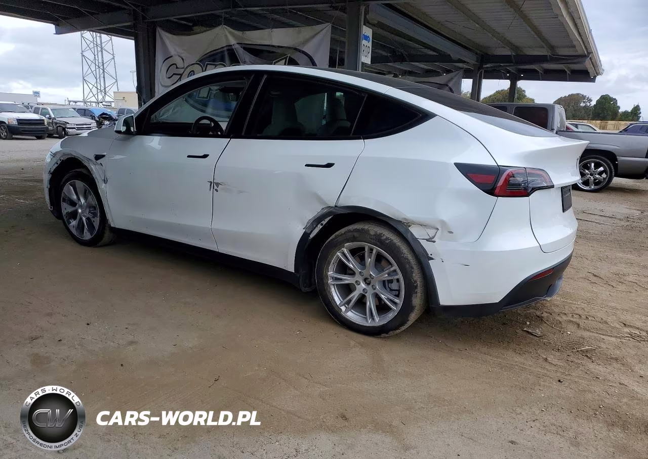 2023 Tesla Model Y VIN:7SAYGDEE3PF967484 - 2