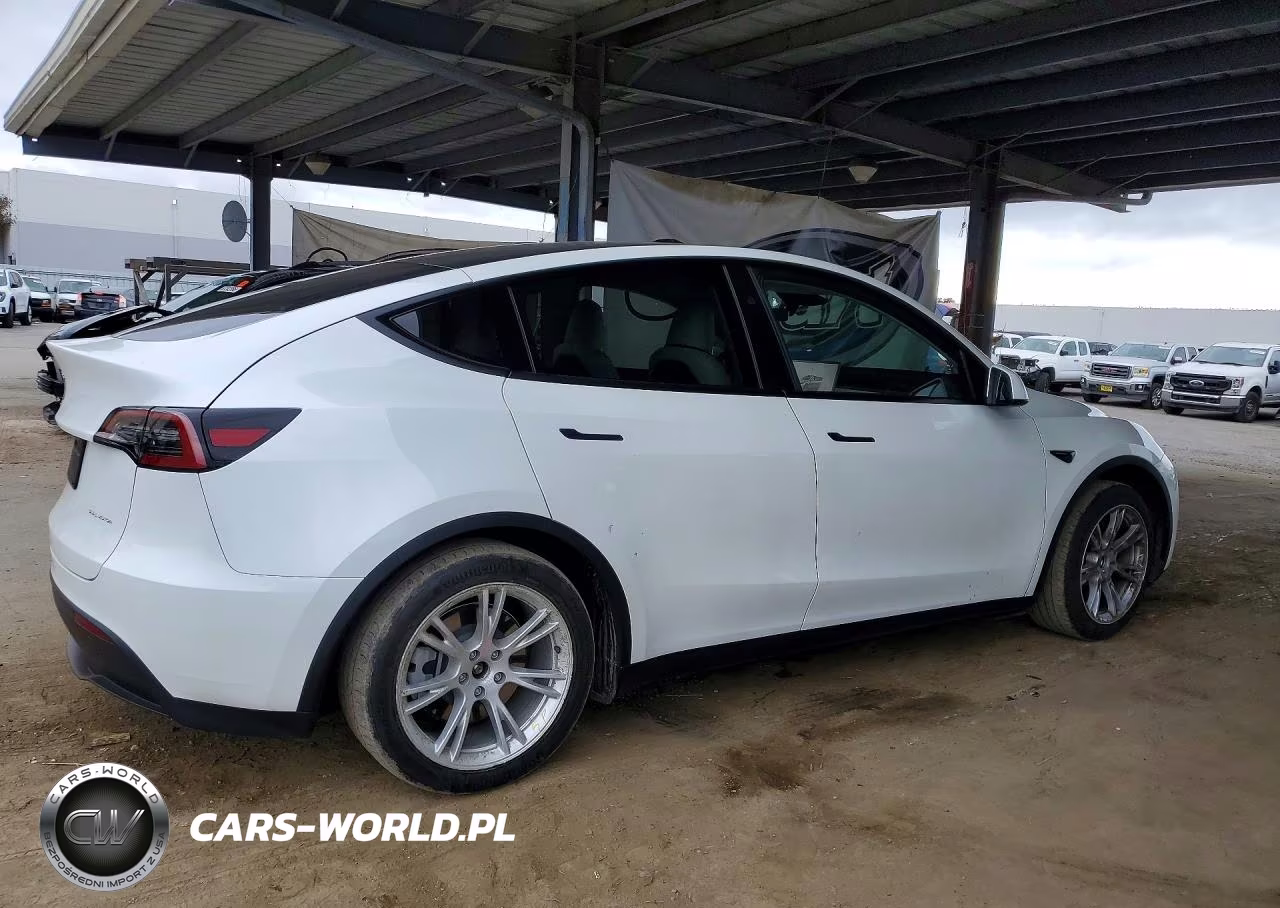 2023 Tesla Model Y VIN:7SAYGDEE3PF967484 - 3