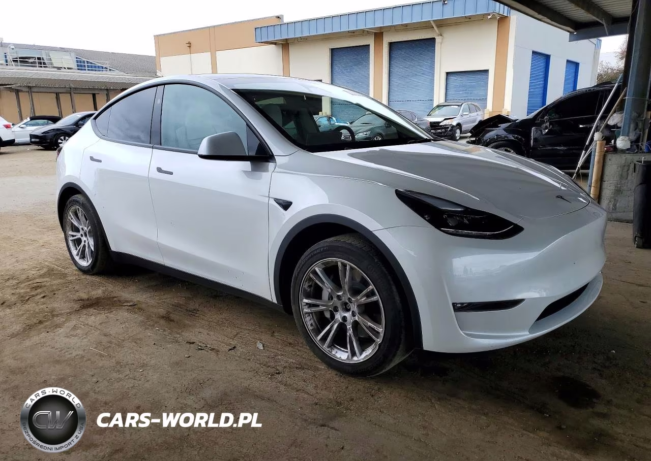 2023 Tesla Model Y VIN:7SAYGDEE3PF967484 - 4