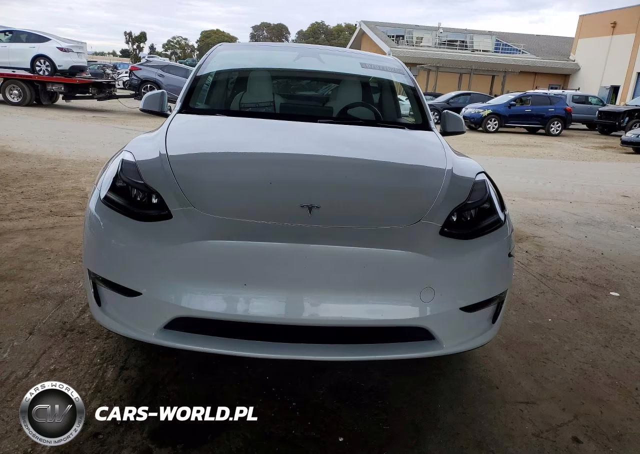 2023 Tesla Model Y VIN:7SAYGDEE3PF967484 - 5