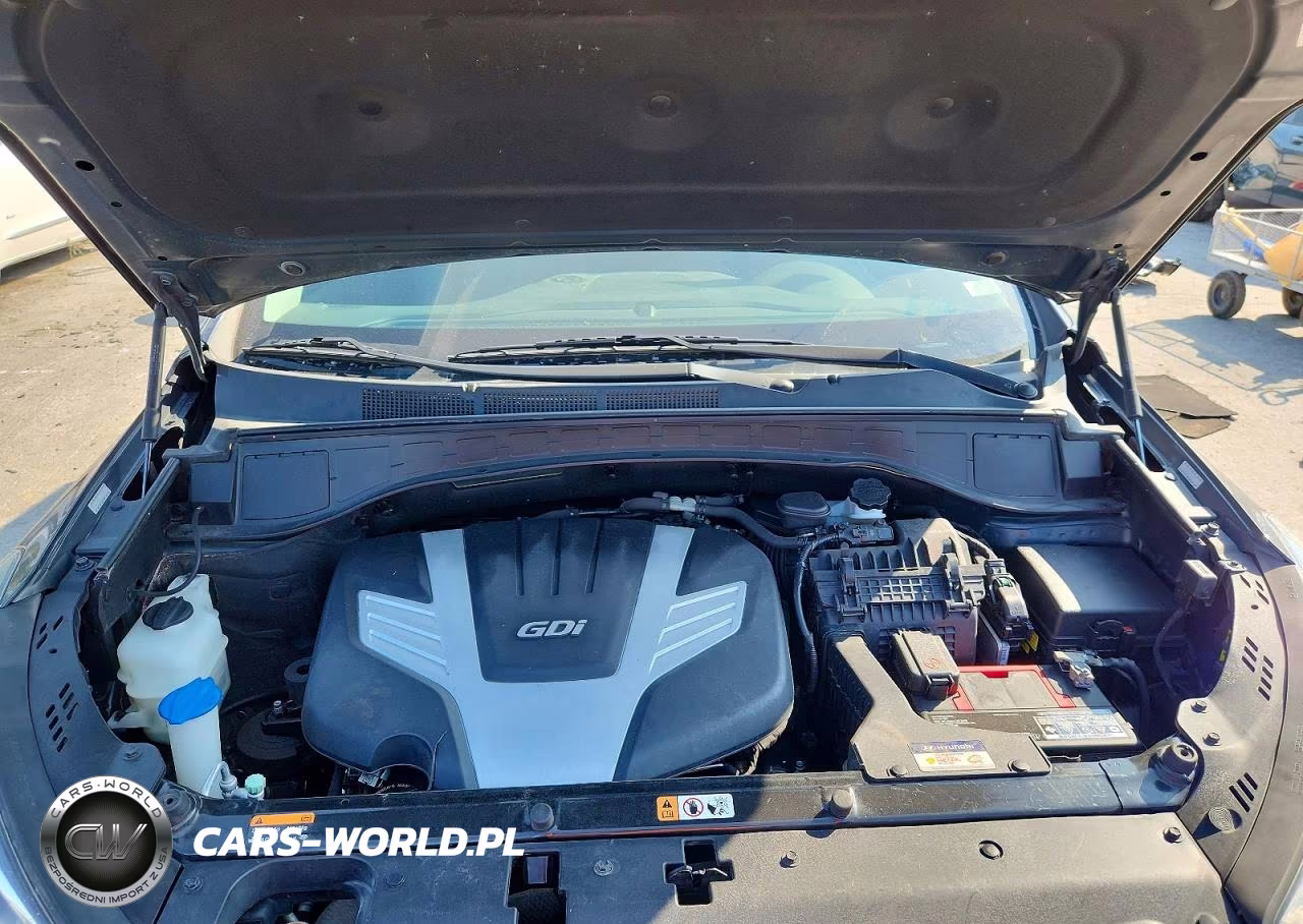 2018 Hyundai Santa Fe Limited Ultimate VIN:KM8SRDHF4JU285418 - 12