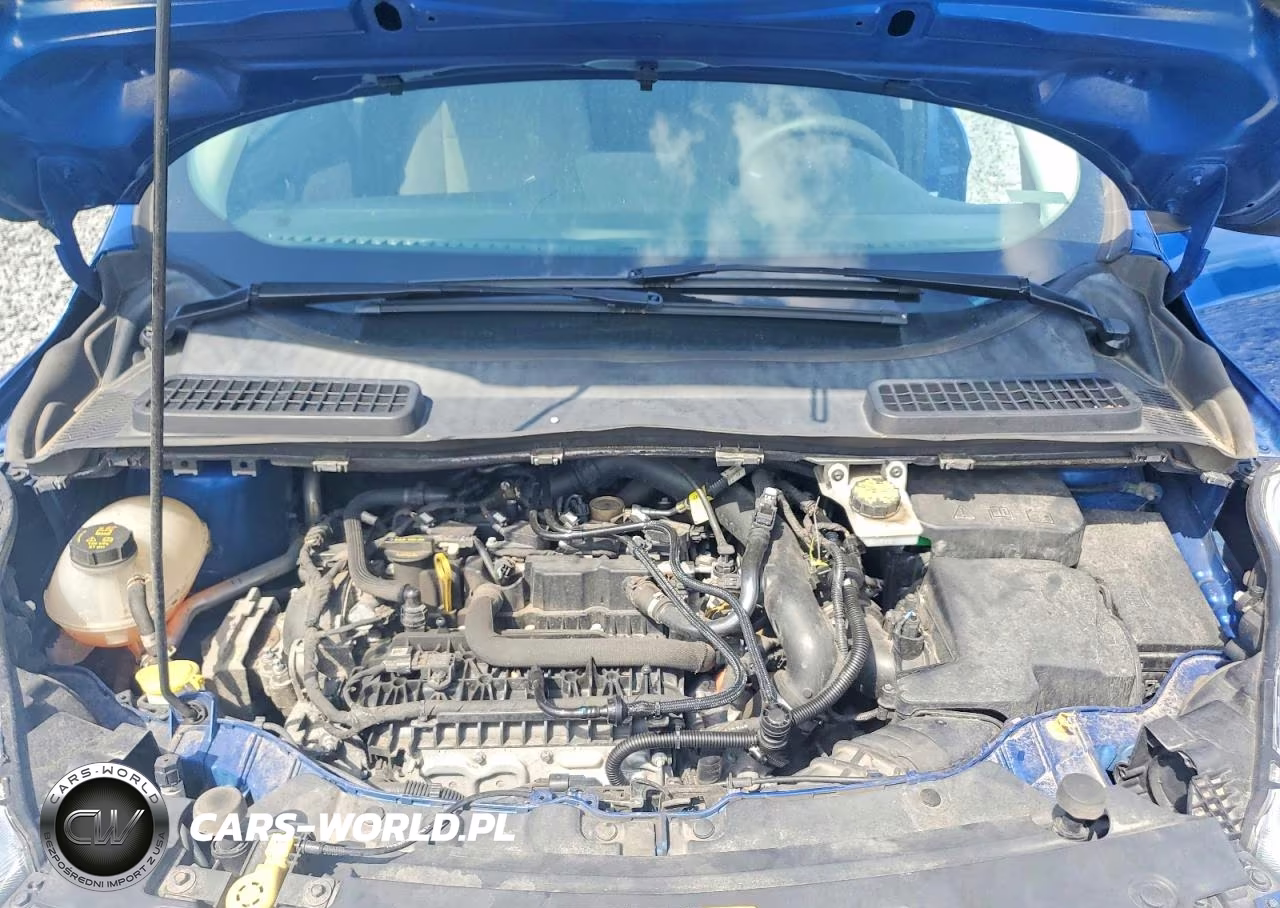 2019 Ford Escape Se VIN:1FMCU0GD3KUB30775 - 12