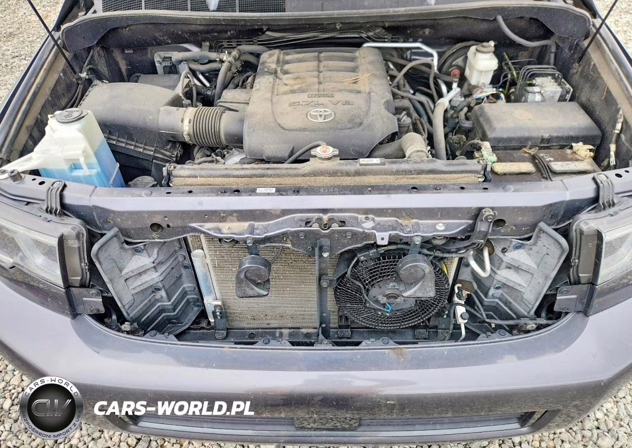 2020 Toyota Sequoia Trd Pro VIN:5TDBY5G10LS181177 - 12