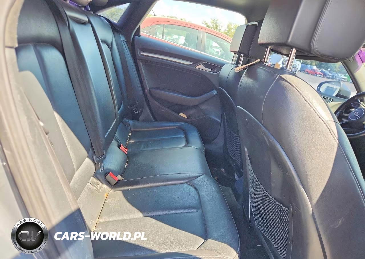2017 Audi A3 Premium VIN:WAUAUHFF9H1077696 - 10