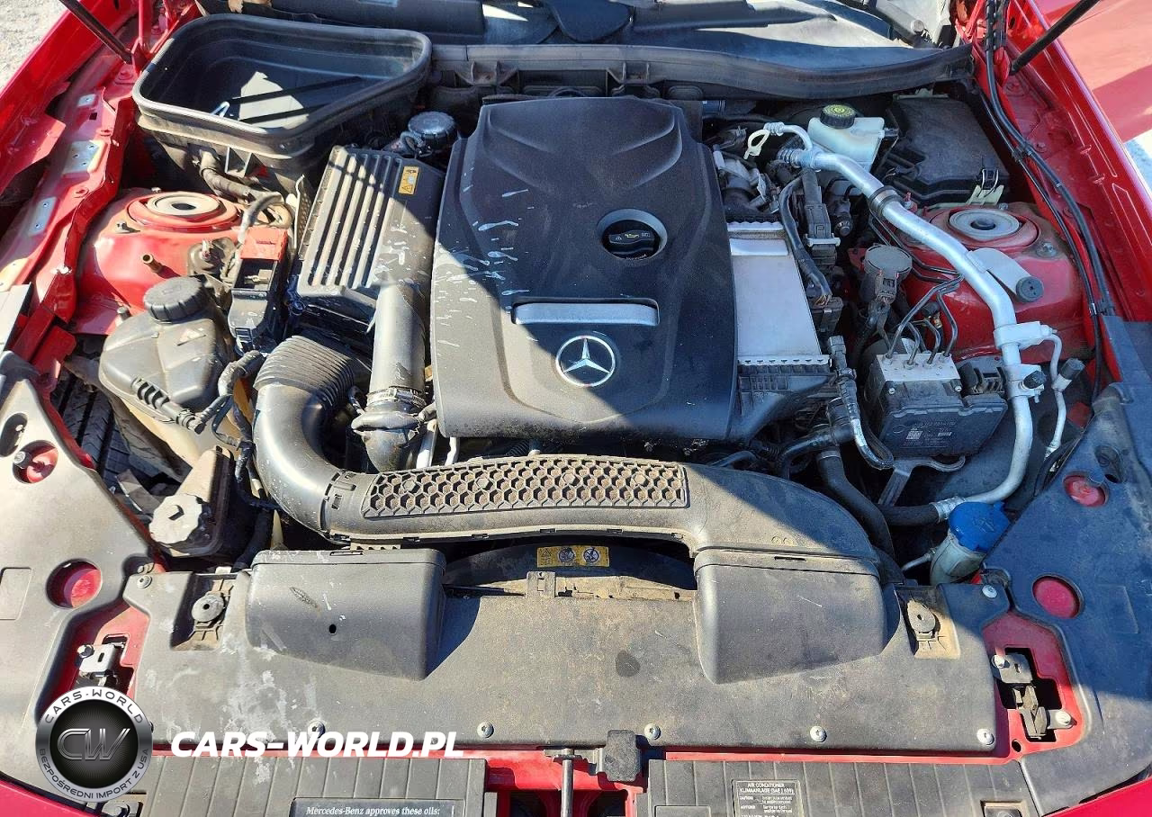 2016 Mercedes-Benz Slk 300 VIN:WDDPK3JA7GF115564 - 11