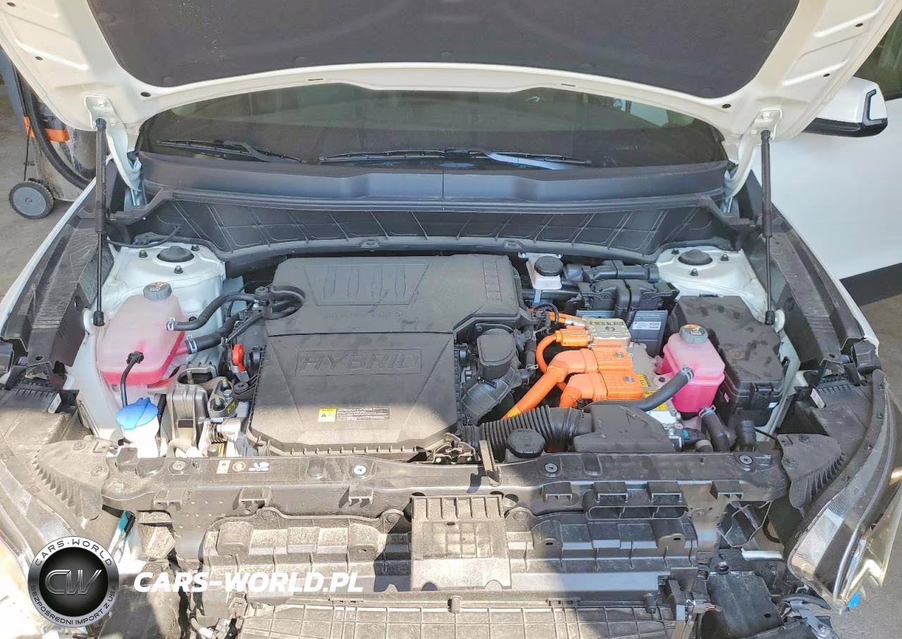 2024 Kia Niro Ex VIN:KNDCR3LE4R5178392 - 12