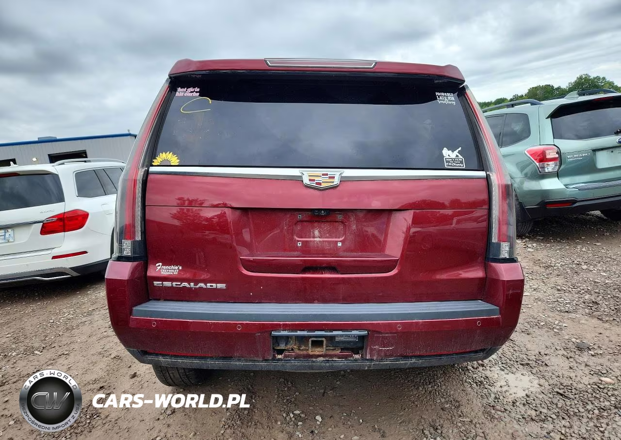 2017 Cadillac Escalade Luxury VIN:1GYS4BKJ6HR210392 - 6