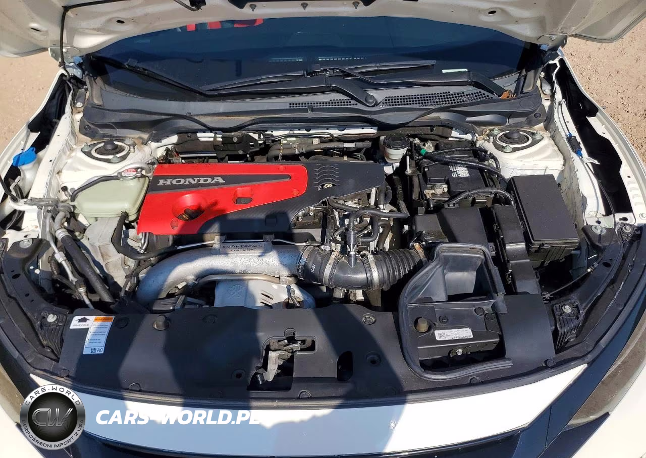2019 Honda Civic Type-R Touring VIN:SHHFK8G70KU201177 - 11
