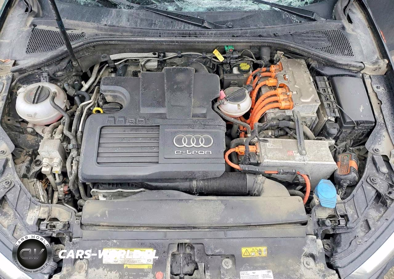 2017 Audi A3 E-Tron Premium Plus VIN:WAUTPBFFXHA044073 - 12