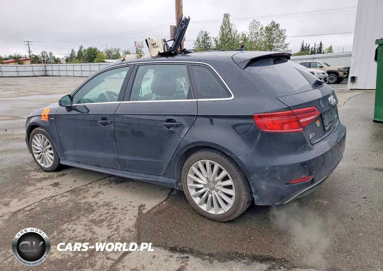 2017 Audi A3 E-Tron Premium Plus VIN:WAUTPBFFXHA044073 - 2