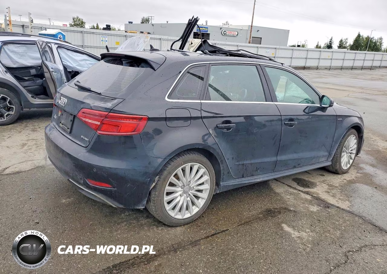 2017 Audi A3 E-Tron Premium Plus VIN:WAUTPBFFXHA044073 - 3