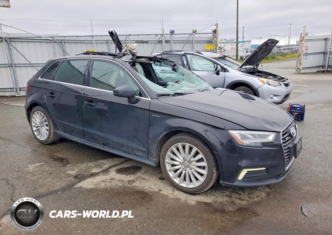 2017 Audi A3 E-Tron Premium Plus VIN:WAUTPBFFXHA044073 - 4