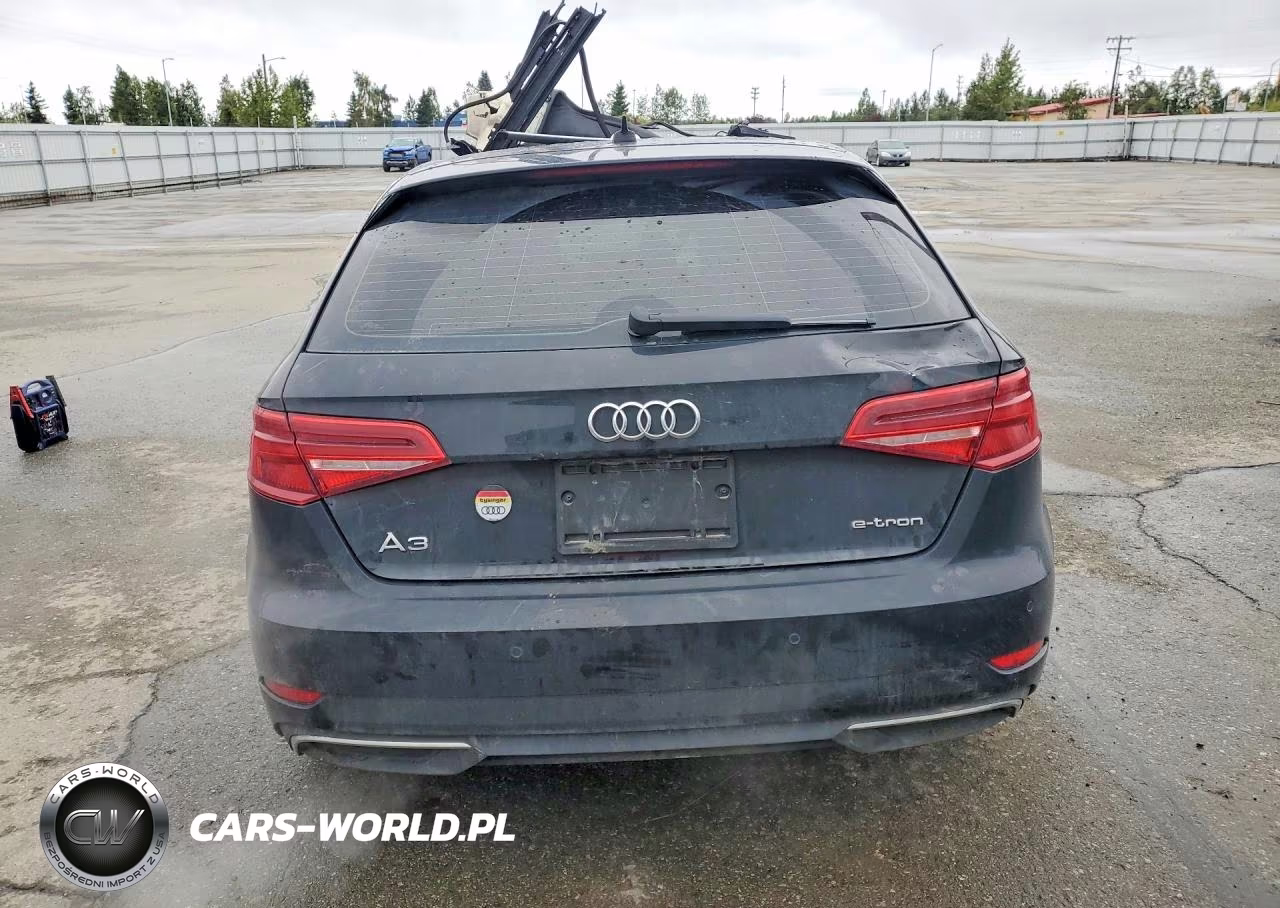 2017 Audi A3 E-Tron Premium Plus VIN:WAUTPBFFXHA044073 - 6