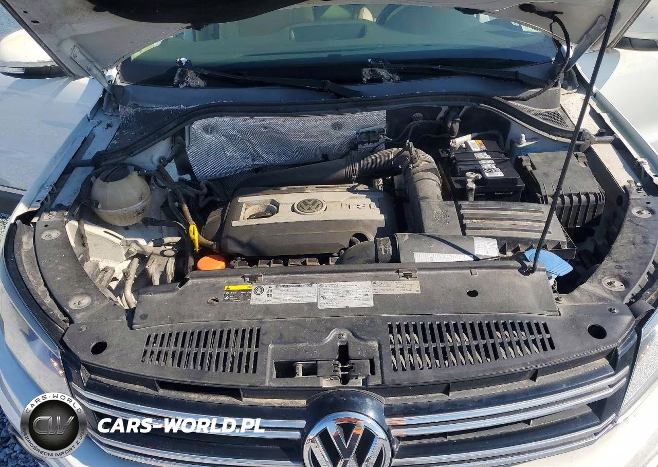 2015 Volkswagen Tiguan S VIN:WVGAV7AX9FW593045 - 12