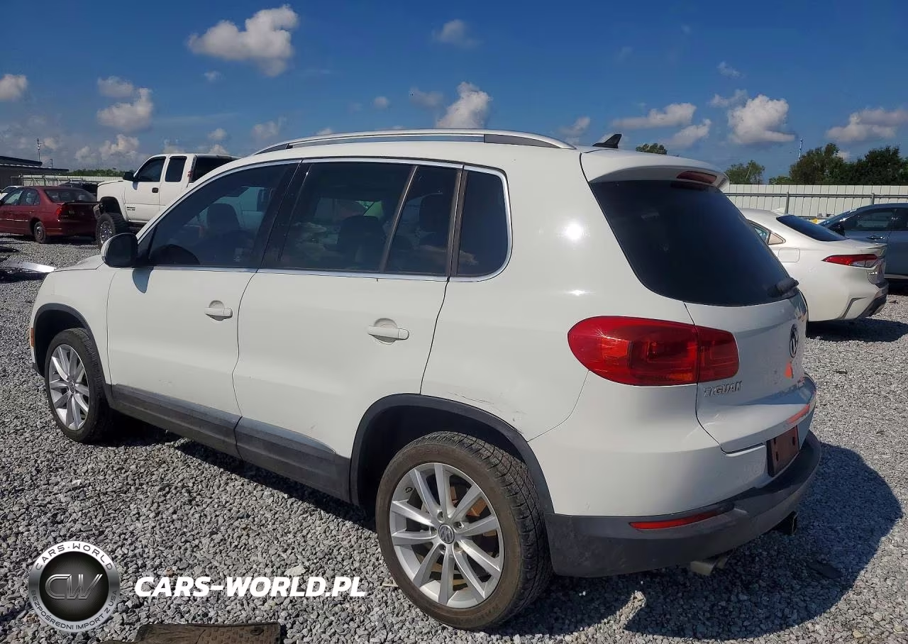 2015 Volkswagen Tiguan S VIN:WVGAV7AX9FW593045 - 2