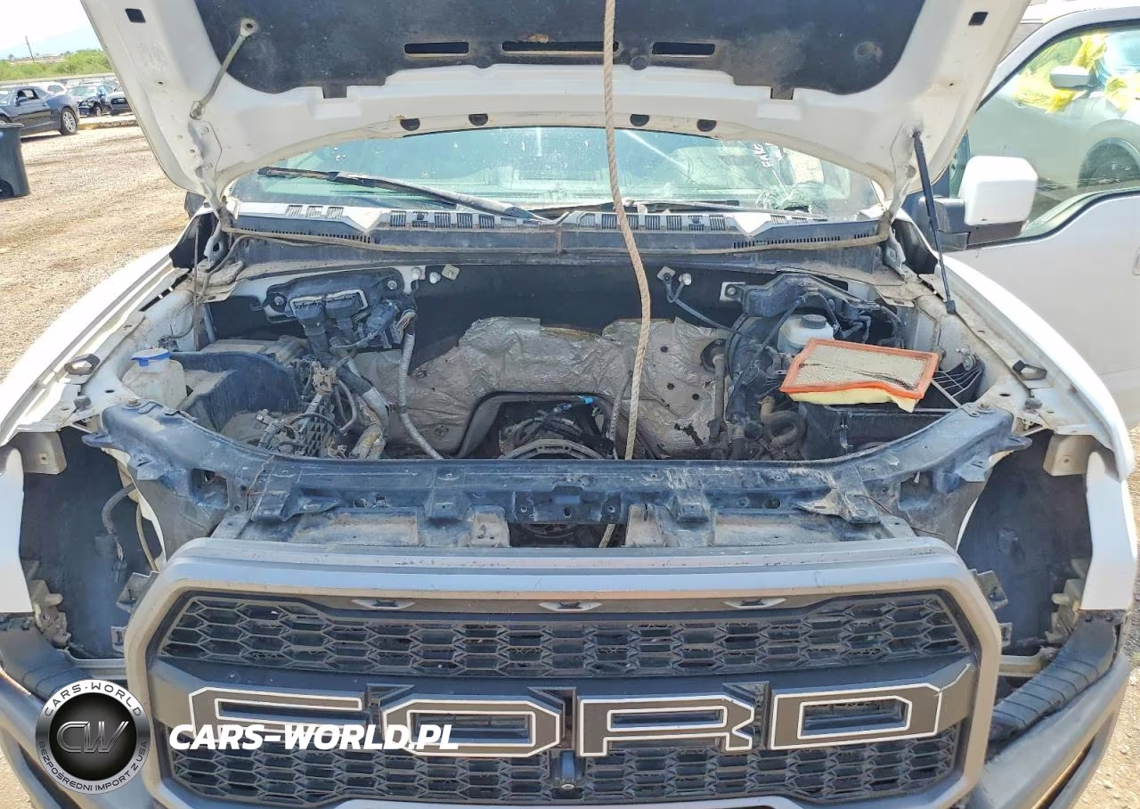 2018 Ford F150 Raptor VIN:1FTFW1RG5JFB45385 - 11