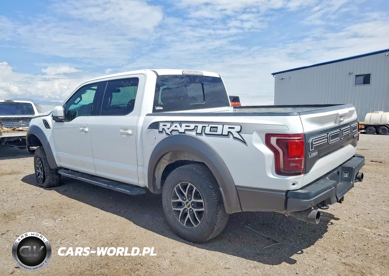 2018 Ford F150 Raptor VIN:1FTFW1RG5JFB45385 - 2