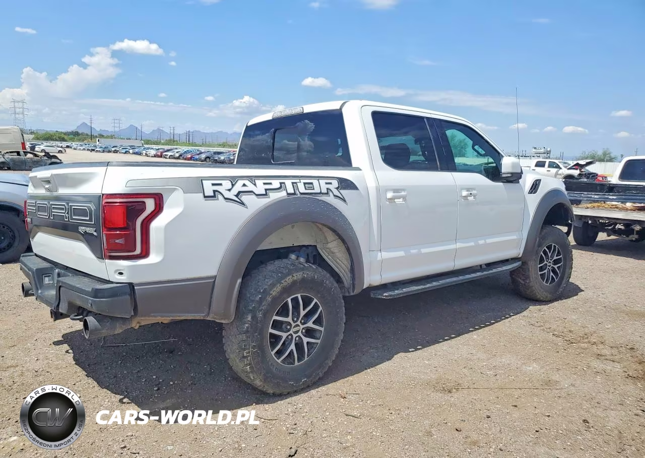 2018 Ford F150 Raptor VIN:1FTFW1RG5JFB45385 - 3